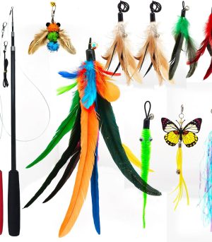 Cat Toys Interactive for Indoor Cats, 2PCS Ultra-Long Teaser(50"+38")+9PCS Da  Feather Refills, Fishing Pole Toy,Retractable Cat Wand Toy and Feather Toys Refills Attachment Replacement